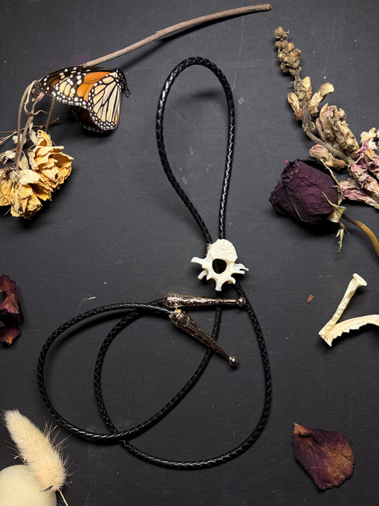 Real Coyote bolo tie necklace ethereal