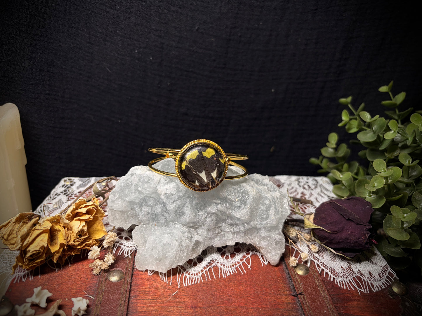 Real Butterfly Wing cuff ethereal