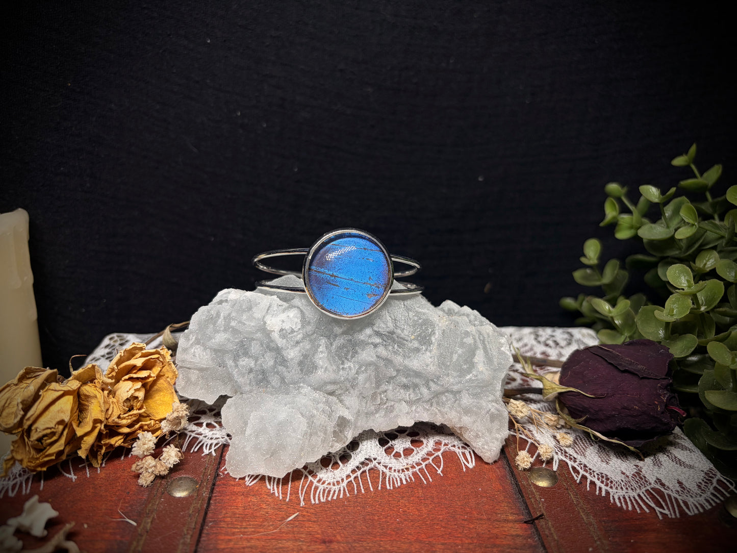 Real Butterfly Wing cuff ethereal