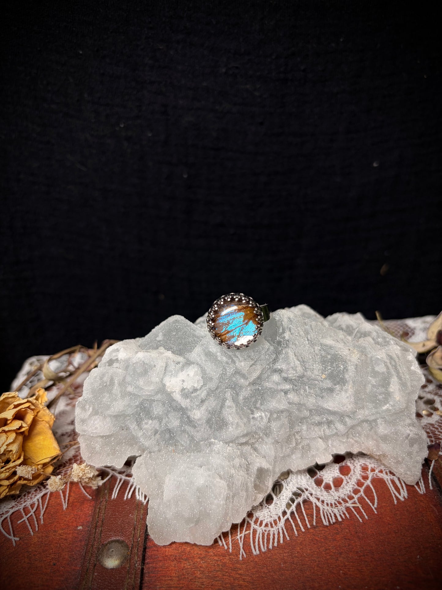 Real Butterfly Wing ring ethereal EMR