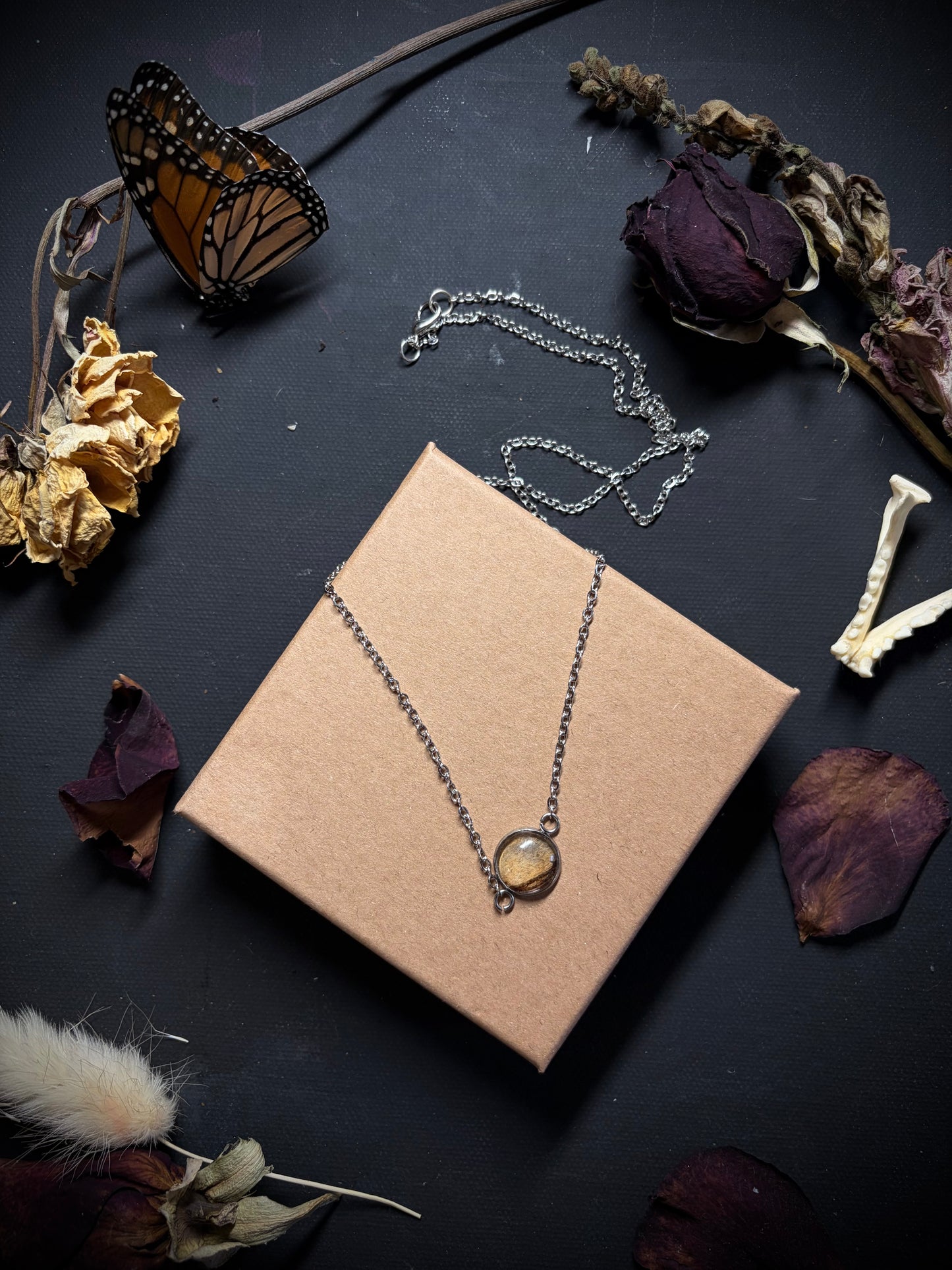 Real Moth Wing necklace ethereal