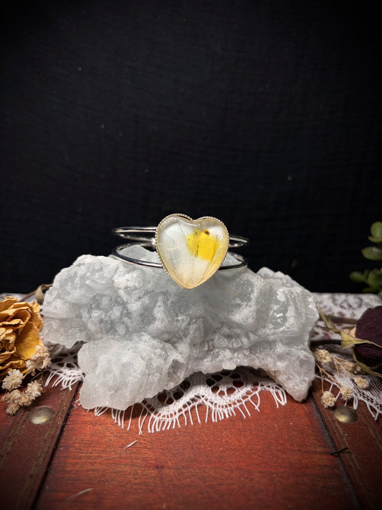 Real Butterfly Wing cuff ethereal