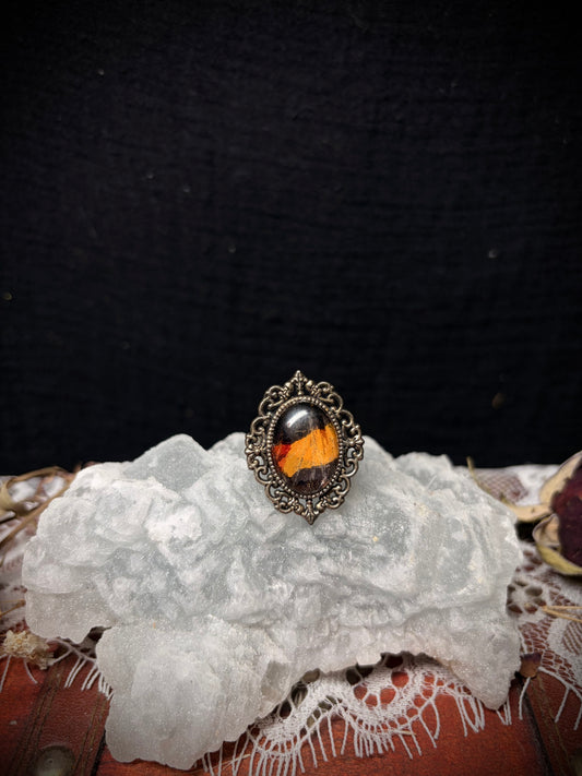 Real Butterfly Wing ring ethereal EMR