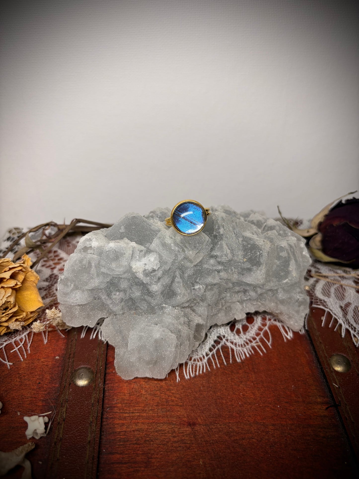 Real Butterfly Wing ring ethereal EMR