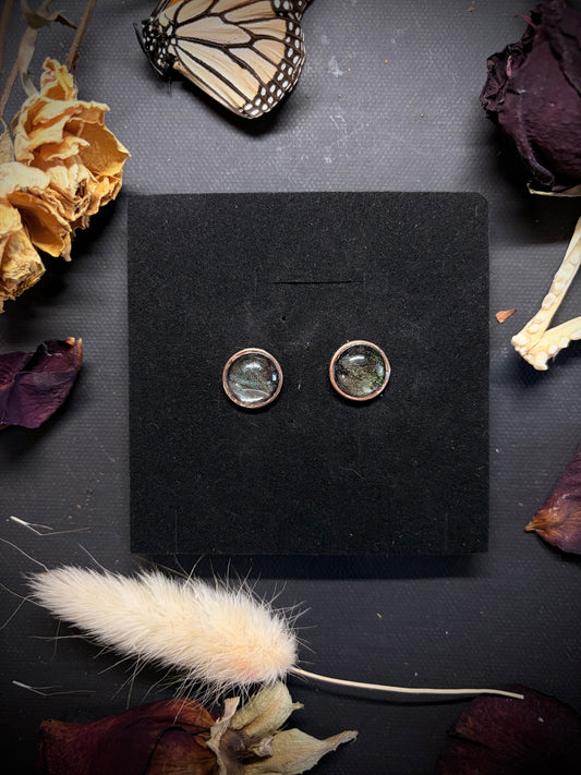 Real Butterfly Wing stud earrings ethereal