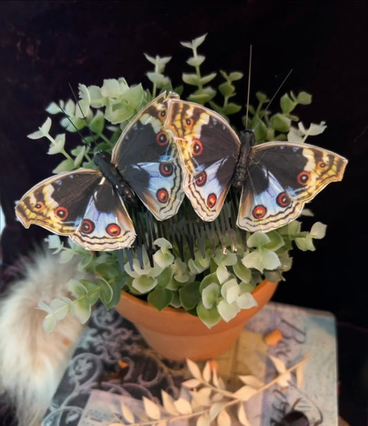 Blue Pansy Butterfly Hair Pin