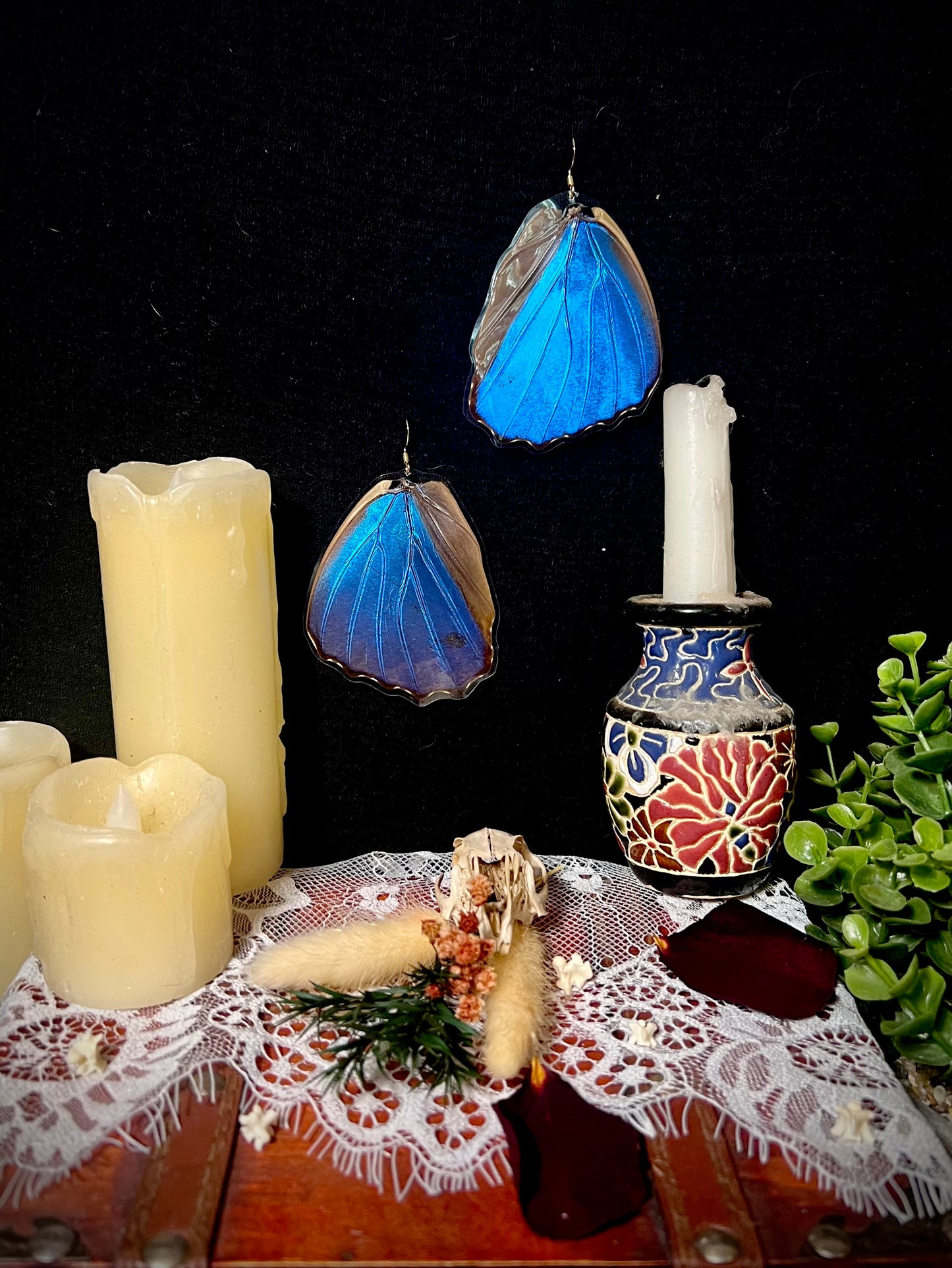 Real ethically sourced butterfly wing earrings ethereal dangles BWE Ethereal earrings