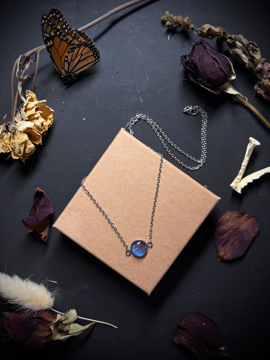 Real Butterfly Wing necklace ethereal