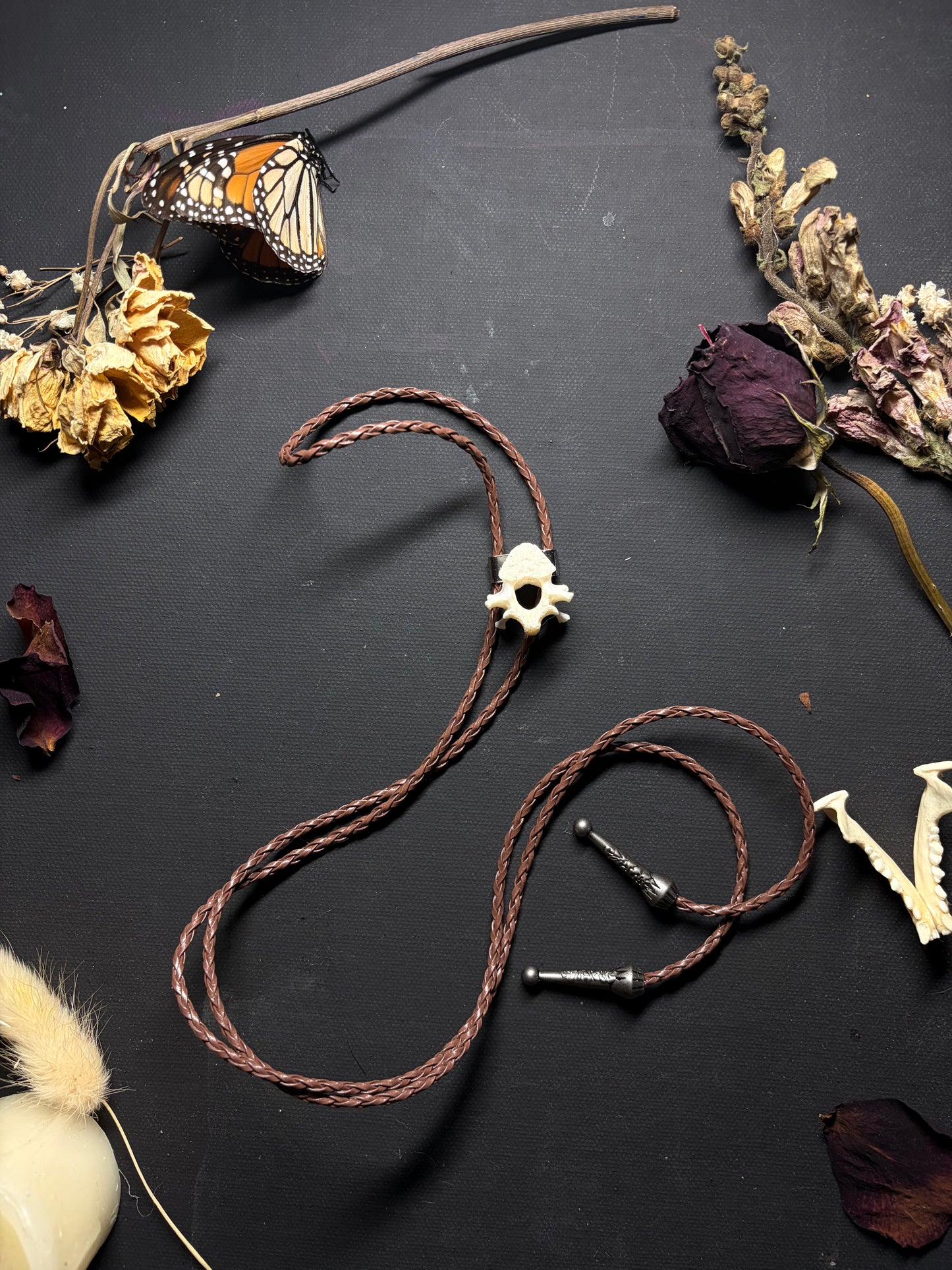 Real Raccoon Vertebrae bolo tie necklace ethereal