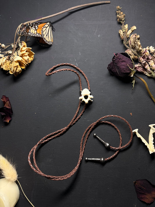 Real Raccoon Vertebrae bolo tie necklace ethereal