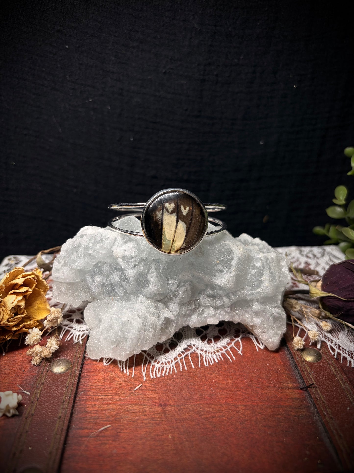 Real Butterfly Wing cuff ethereal