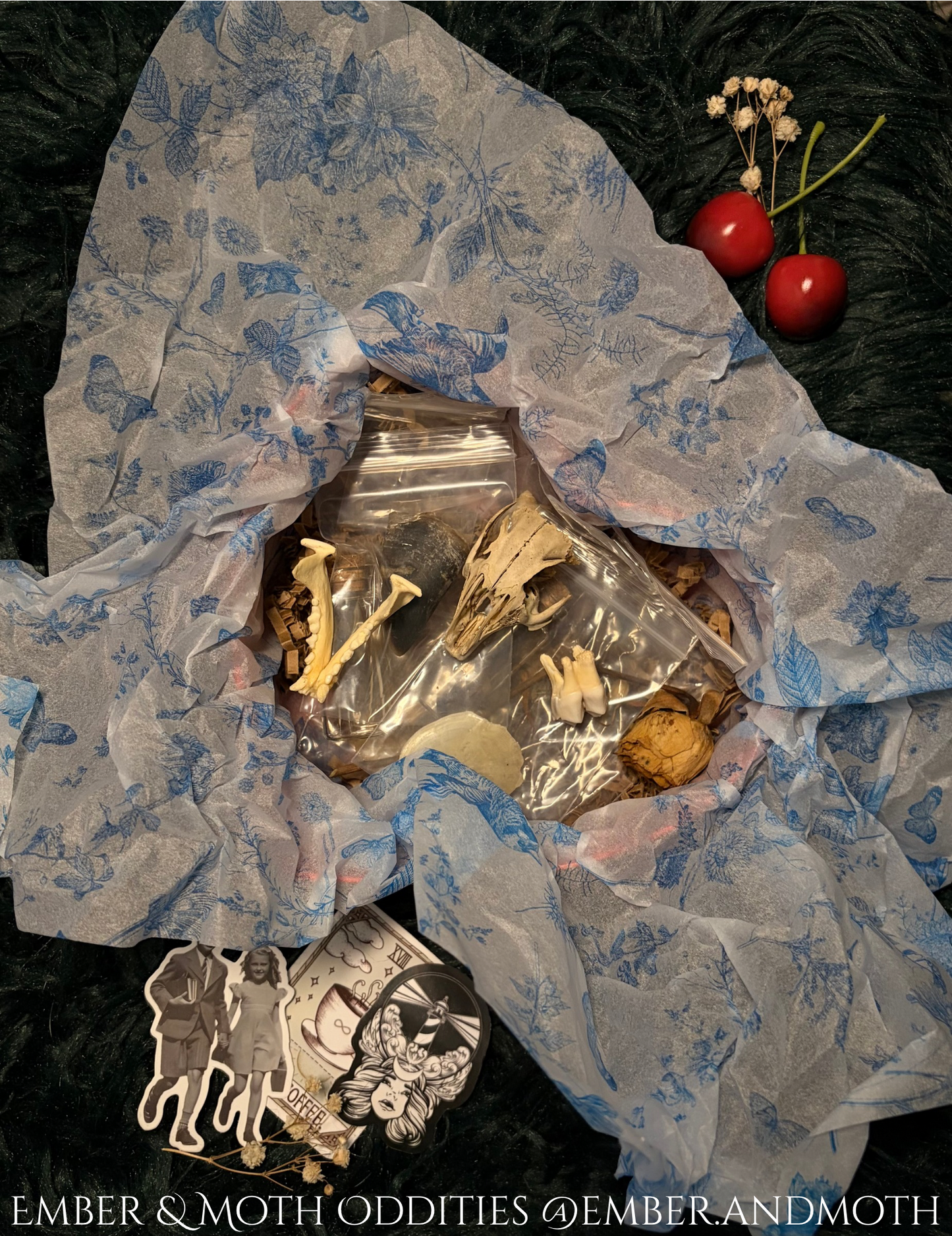 Custom Mystery Curio Confection Box