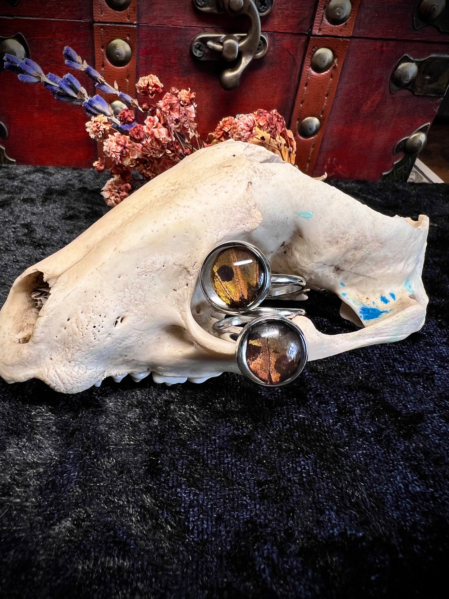 Dawsons Custom Commission