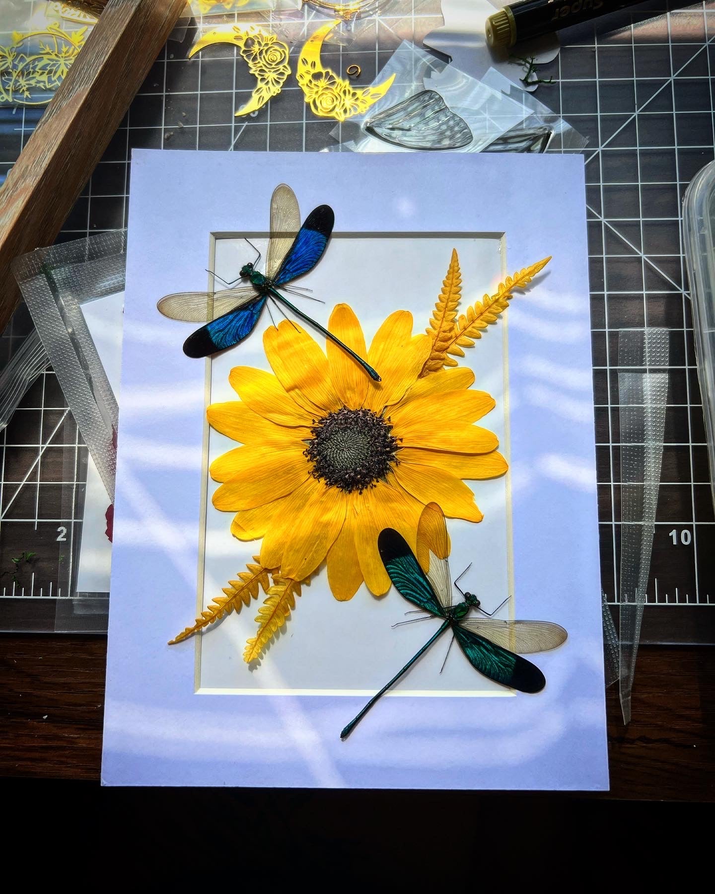 Emma Young's Custom Commission