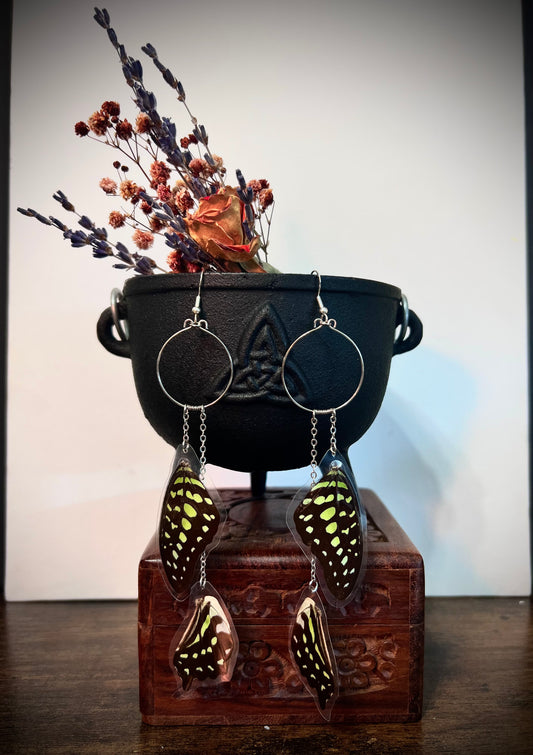 Paige’s Custom Commission
